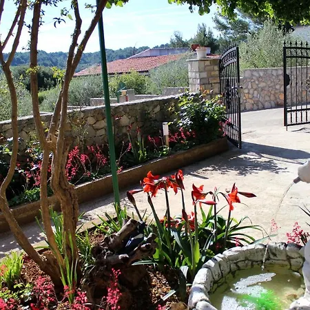 Seaside With A Swimming Pool Rogac, Solta - 5183 Apartment *